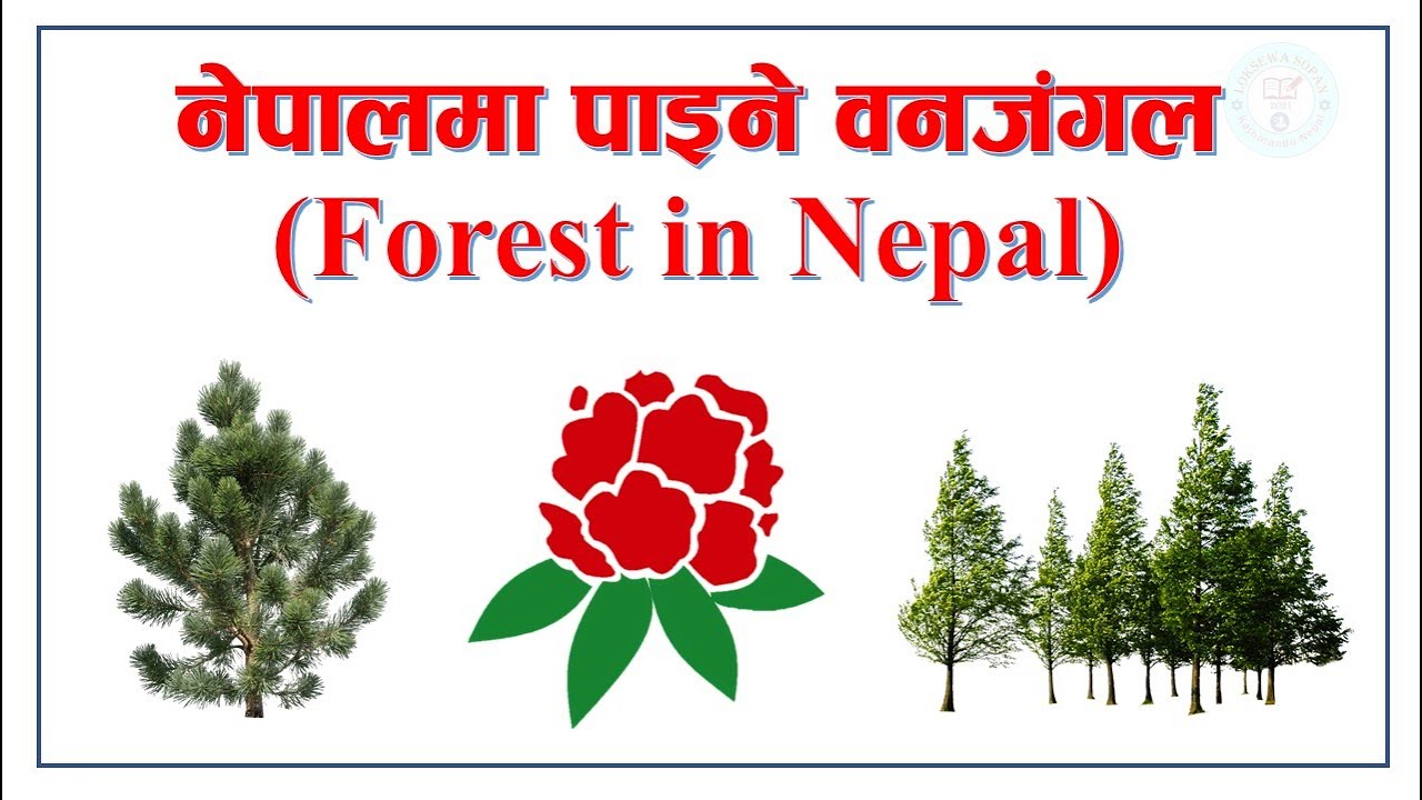 Forest in Nepal GK || Types of Forest || Geography of Nepal GK || By: Loksewa Sopan