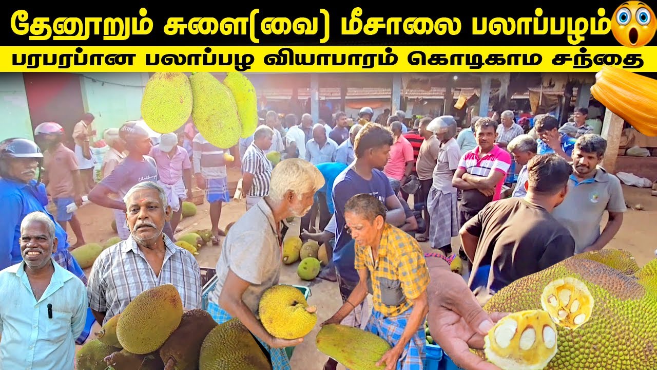 🔴யாழில் தேனூறும் சுவையான மீசாலை பலாப்பழம்😳|கொடிகாம சந்தையில் பரபரப்பான வியாபாரம்|jaffna jackfruit