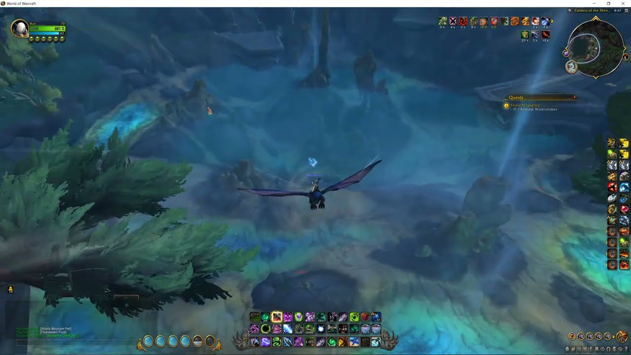 Snake Wrangling, WoW Dragonflight Quest