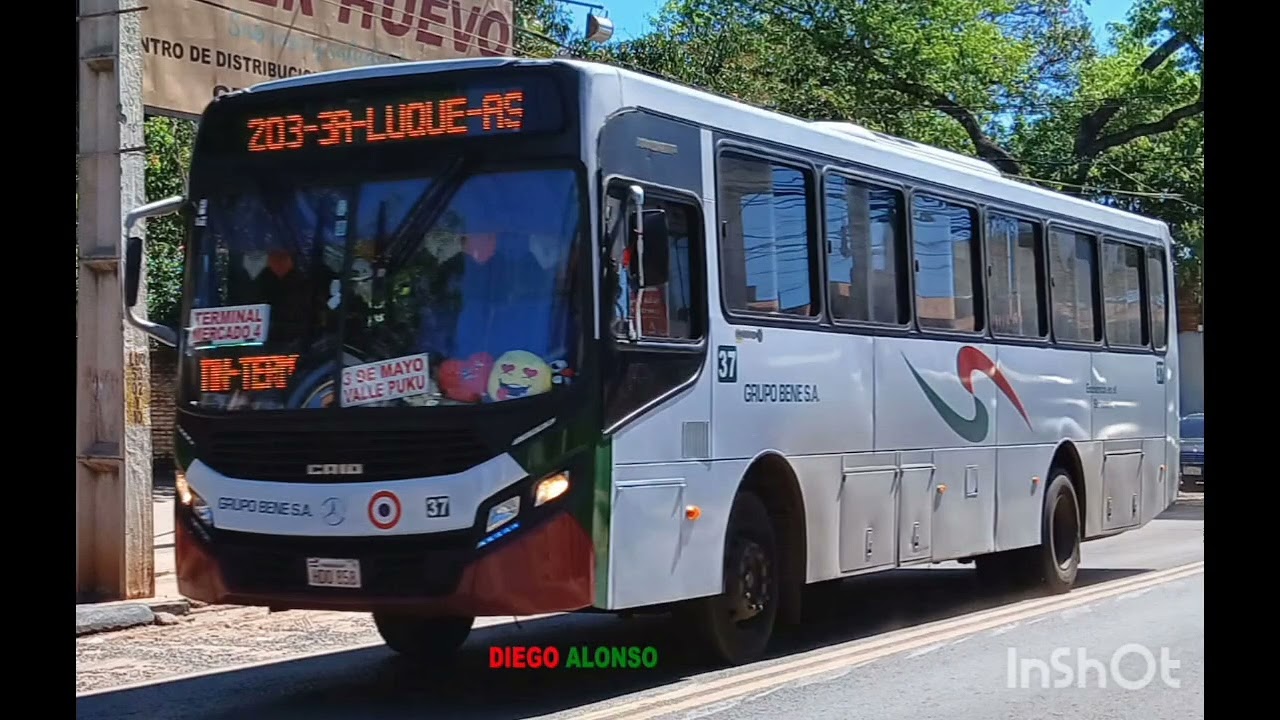 Lineas 11 y 203 Grupo Bene S.A. 