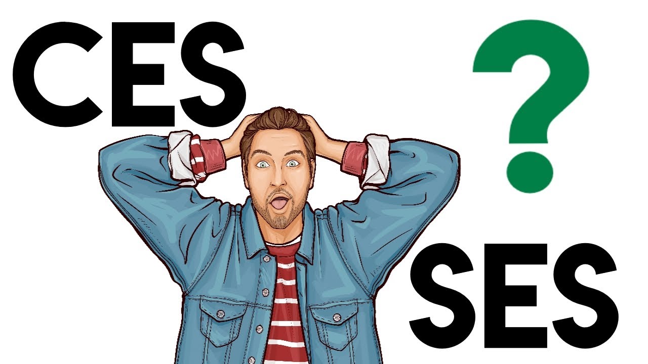 Les homophones ces/ses