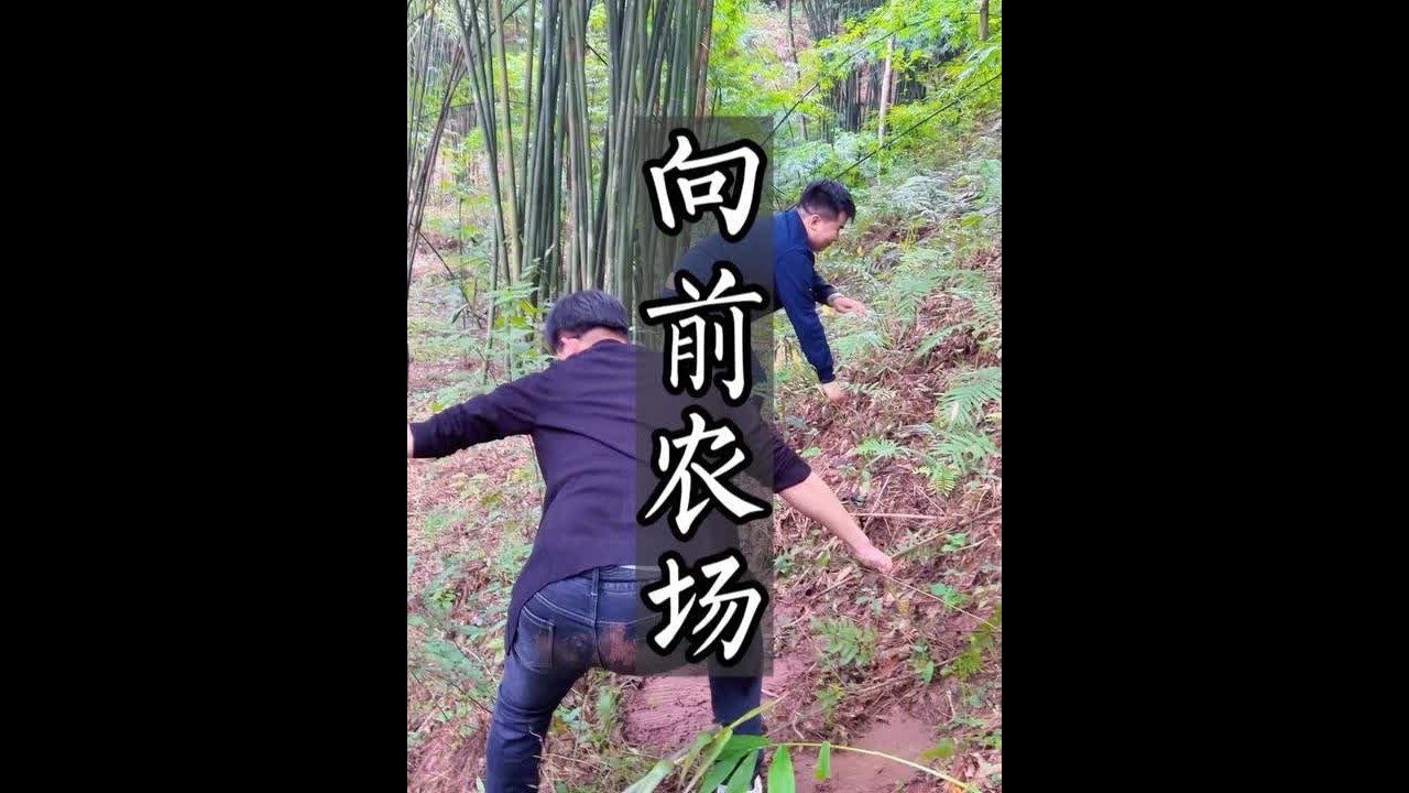 90后小伙打造共享农场吸引了上百万粉丝，免费管吃管住，养活了上百个常驻股东，怎么做到的？又靠什么赚钱？能不能复制？#向前农场 #共享农场 #农庄星探