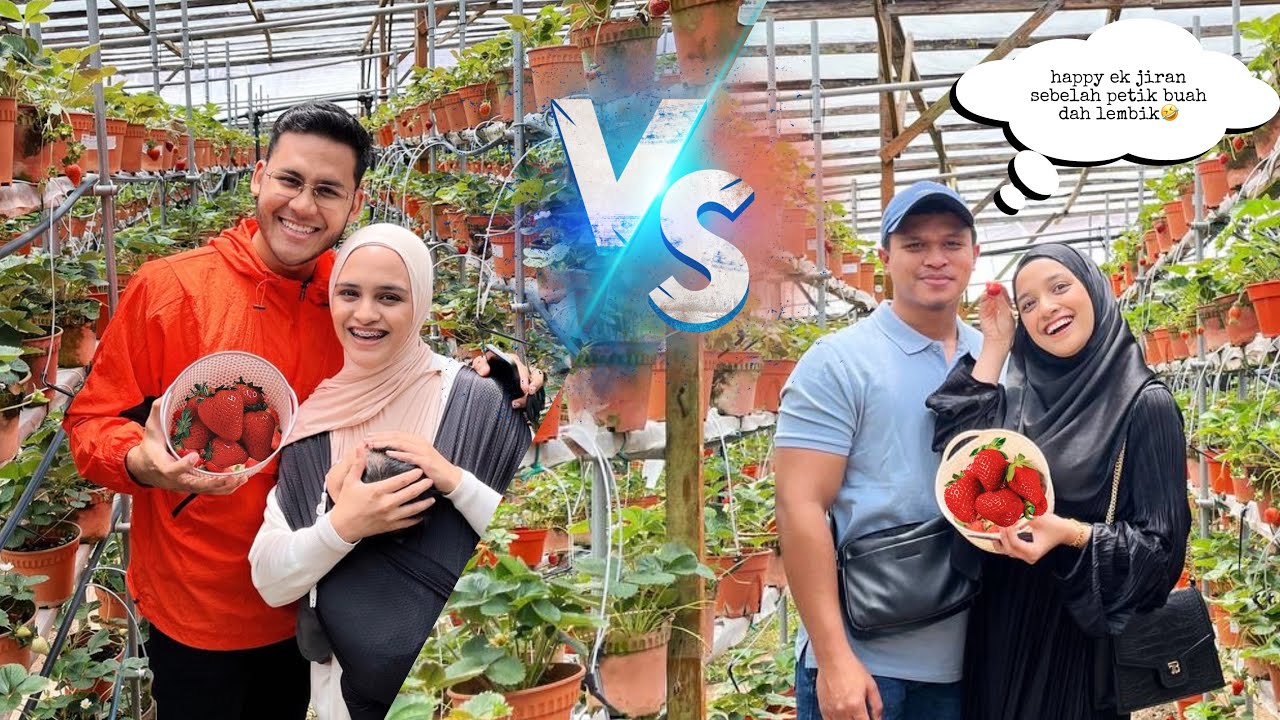 CAMERON DAY 2| BUNYI PELIK DEKAT HOMESTAY ?!