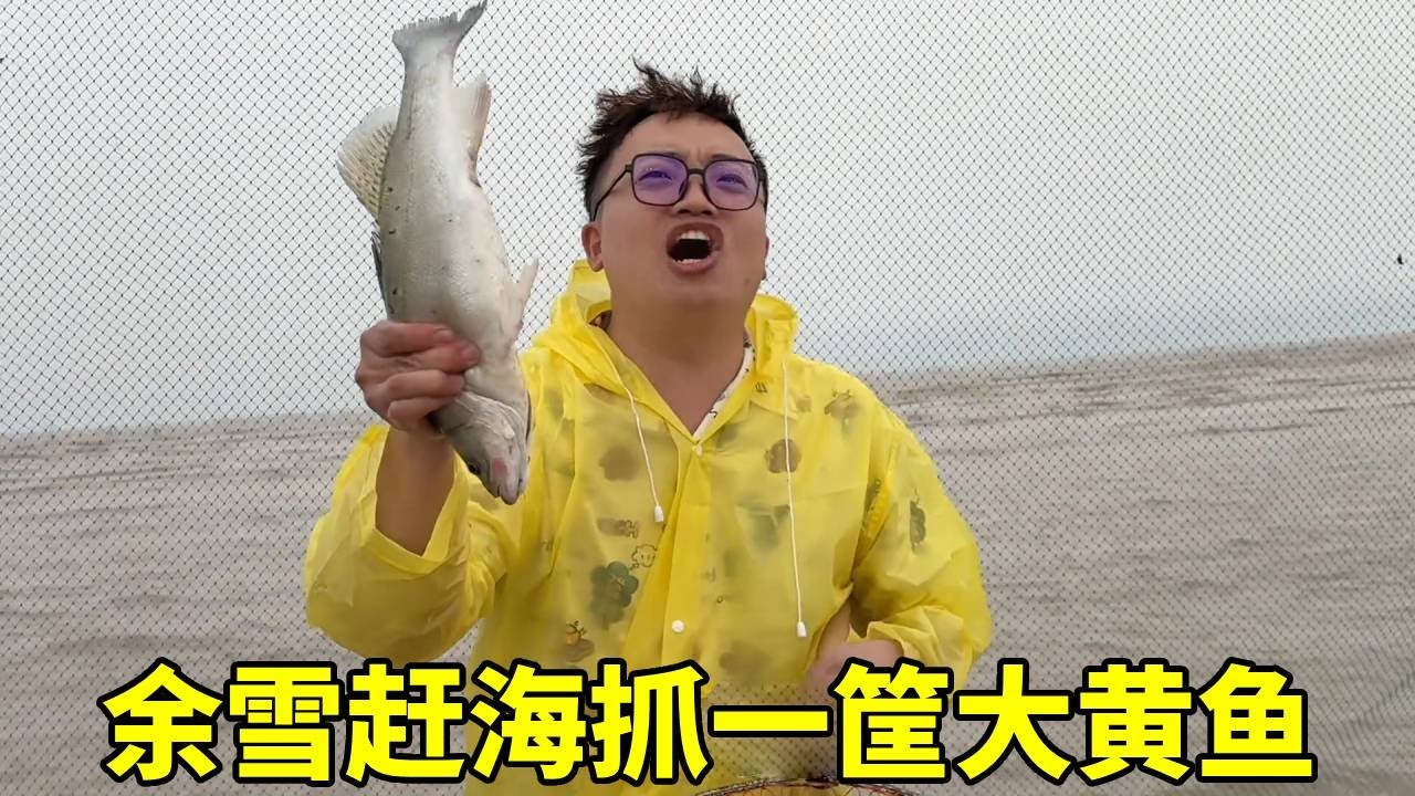 余雪带小夕来赶海抓大黄鱼，还收获了很多皮皮虾和小海鲜，抓了一大筐！#夫妻日常#赶海