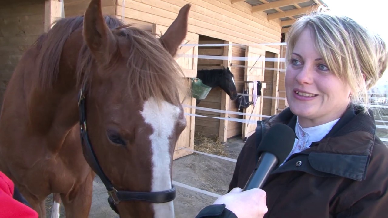Az ősszel nyílt meg Dabason a Spirit Horse Lovasiskola