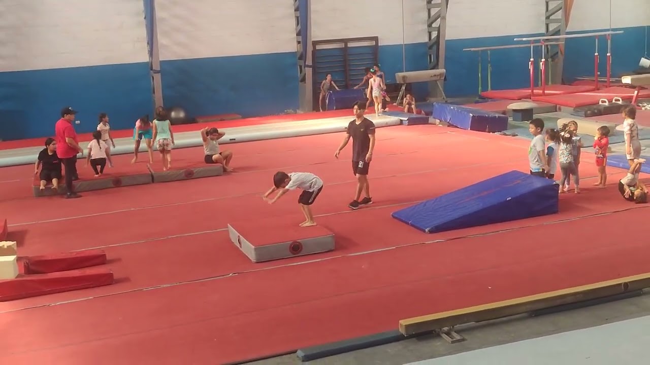 Alex Gimnasia