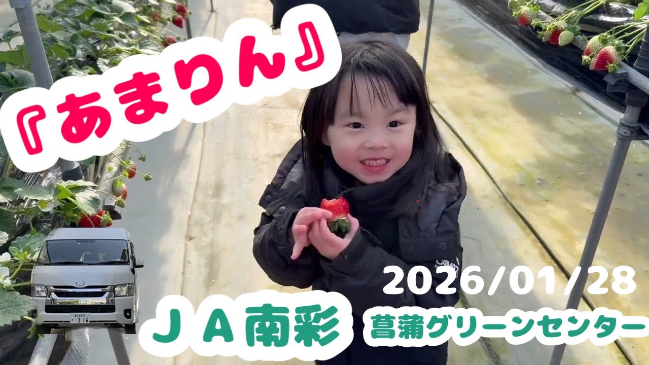 【🍓いちご狩り🍓】JA南彩・菖蒲グリーンセンター