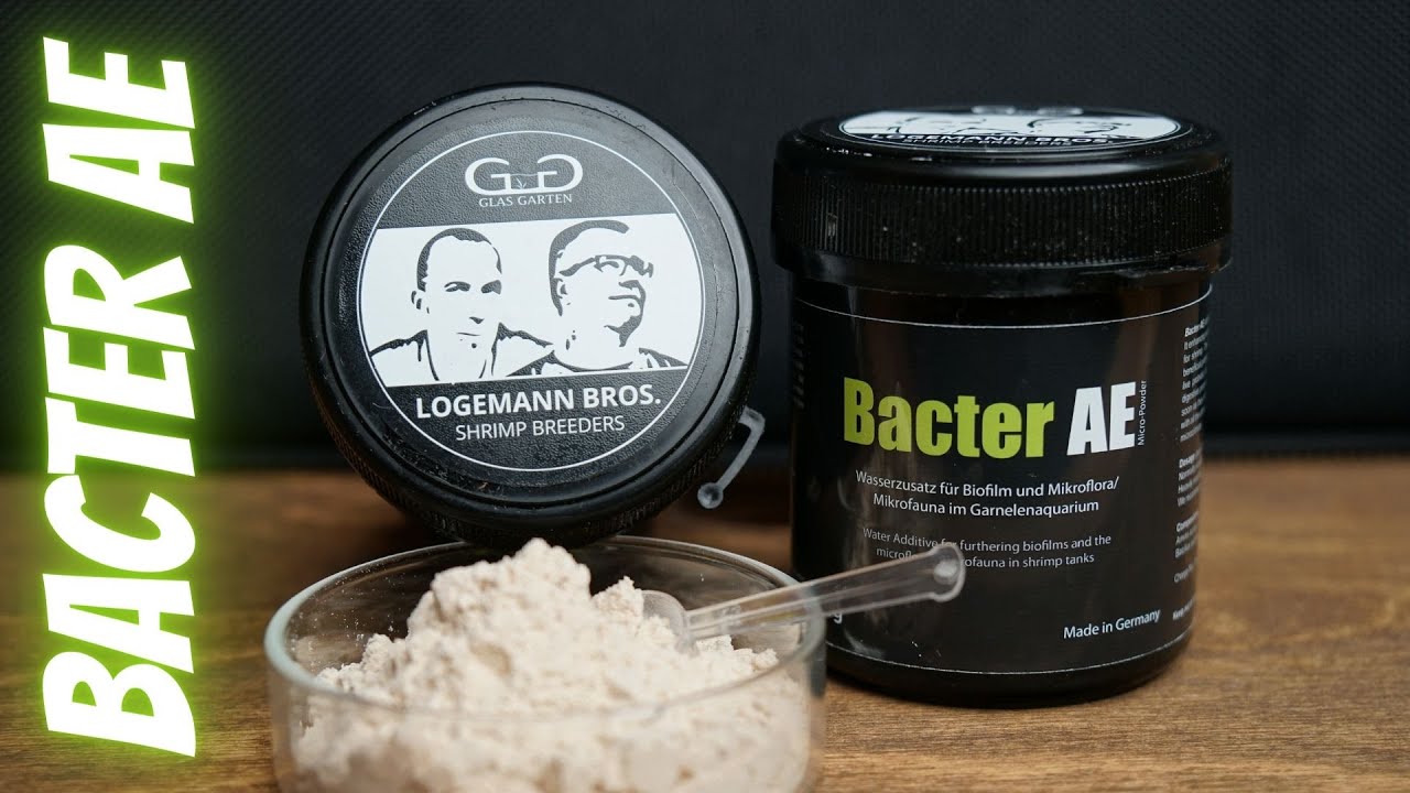 Bacter AE - 🦐 Aufbau und Entwicklung von Biofilmen im Aquarium. Nützliche Bakterien/Garnelen füttern