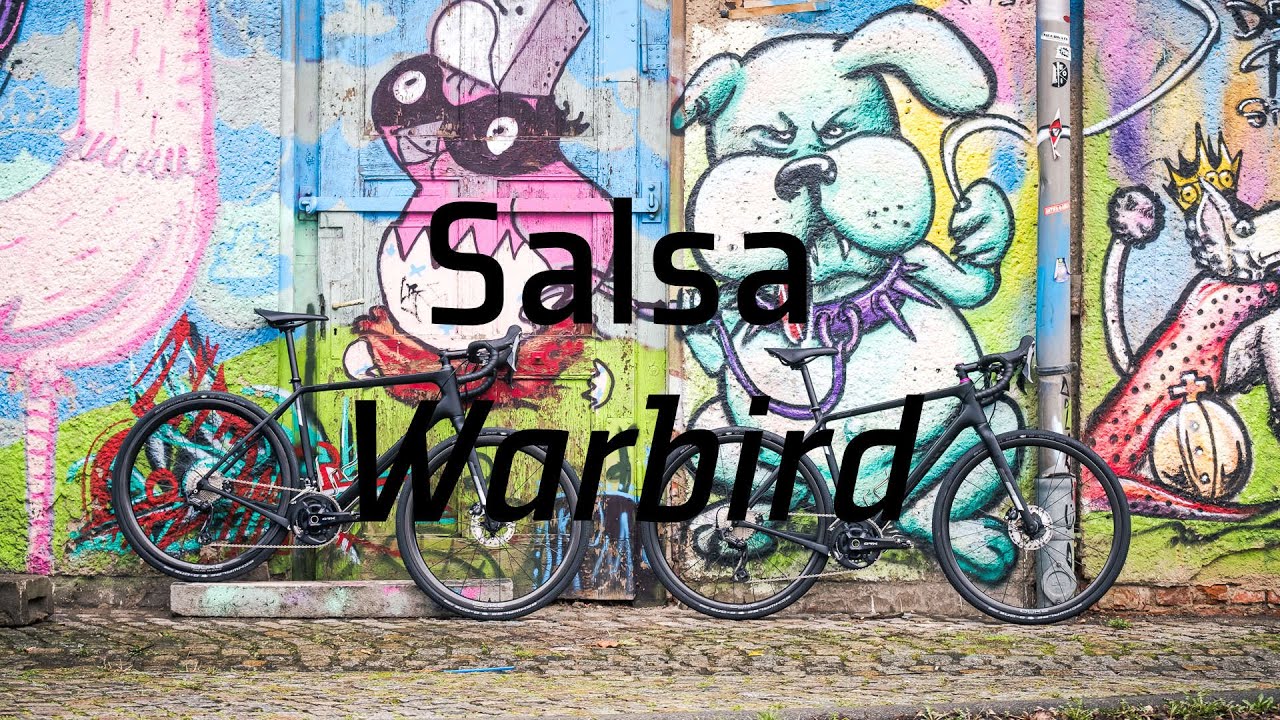 Salsa Warbird Double Dreambike Build