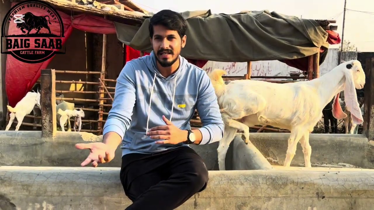 Real Farming in Pakistan | Farm Vlog 