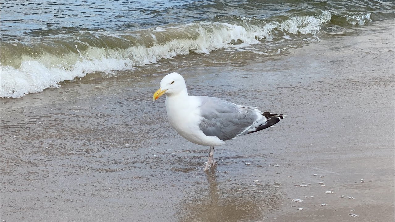 Urlaub an der Ostsee 2024 - Eggesin