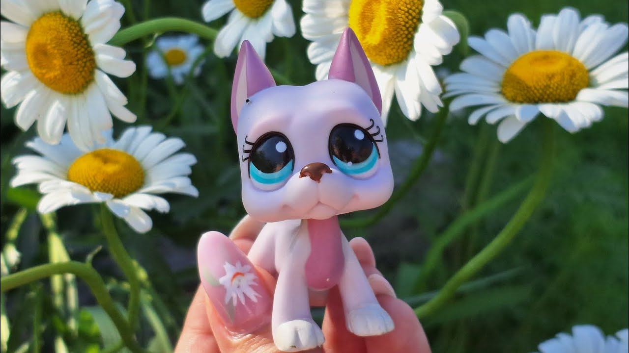 ♡Lps обзорчик, на лпс со встречки♡