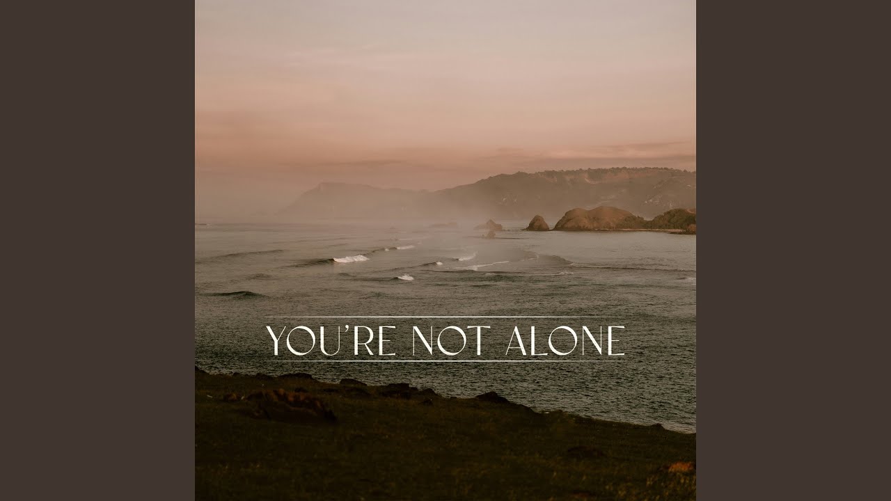 You're Not Alone (James Carter Remix)
