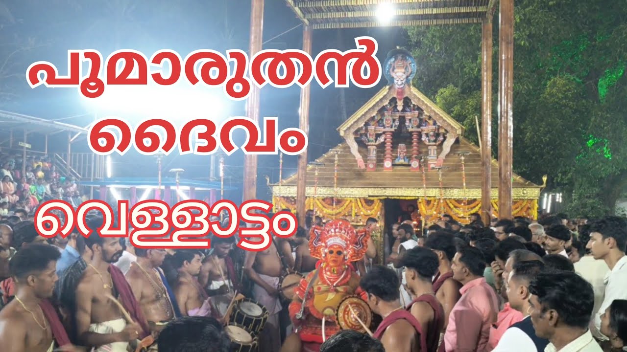 പൂമാരുതൻ ദൈവം വെള്ളാട്ടം#shortsfeed #shortvideo #theyyam #theyyamkannur#kurinji 