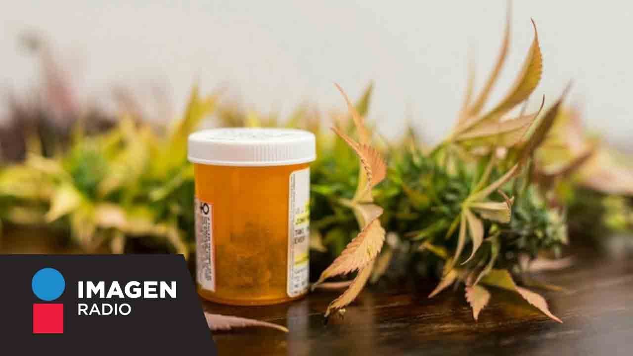 &iquest;Cu&aacute;les son los beneficios del uso medicinal de la marihuana? | Bien y Saludable