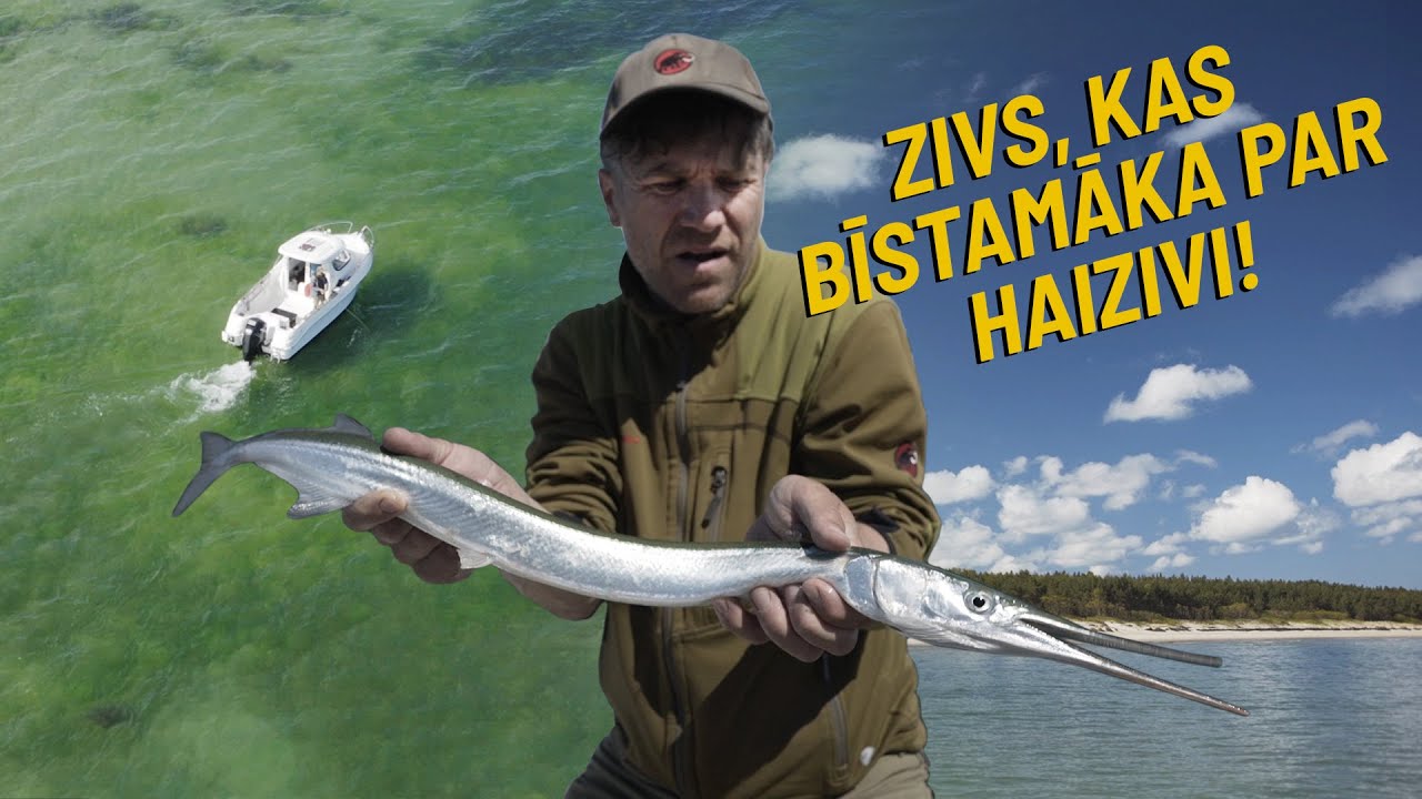 Makšķerē ar Olti 2020 #5 Vējeņu cope 