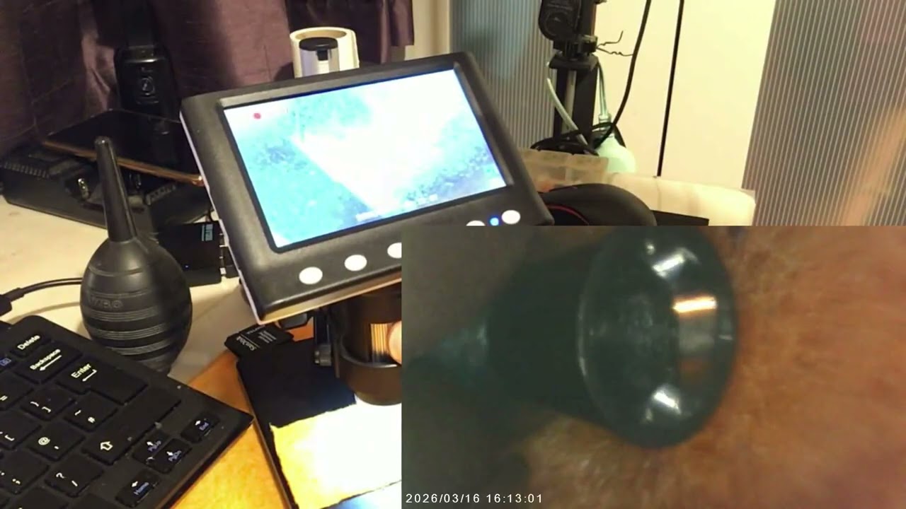 Temu Microscope