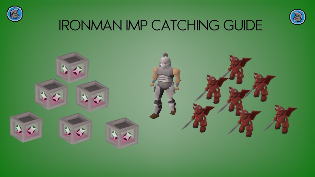 OSRS NEW Ironman Imp Catching | Imp in a box | Hunter