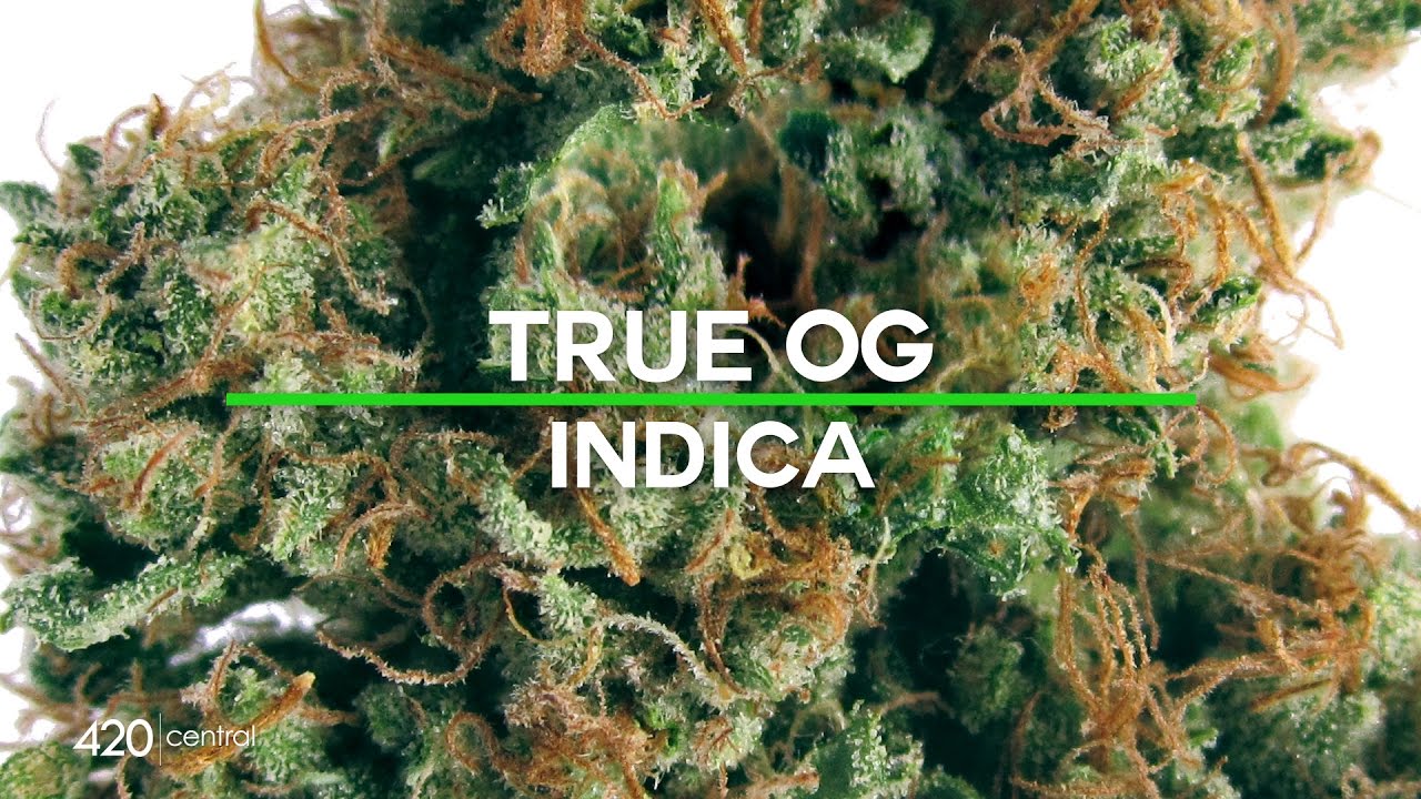 420 Central Strain Reviews - True OG