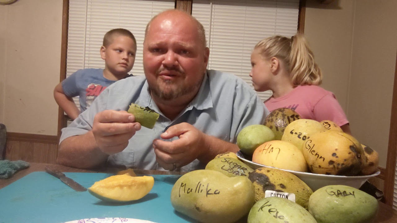 #sugarloaf #mango #tastetest with #fricknfrack & #theurbanhillbilly