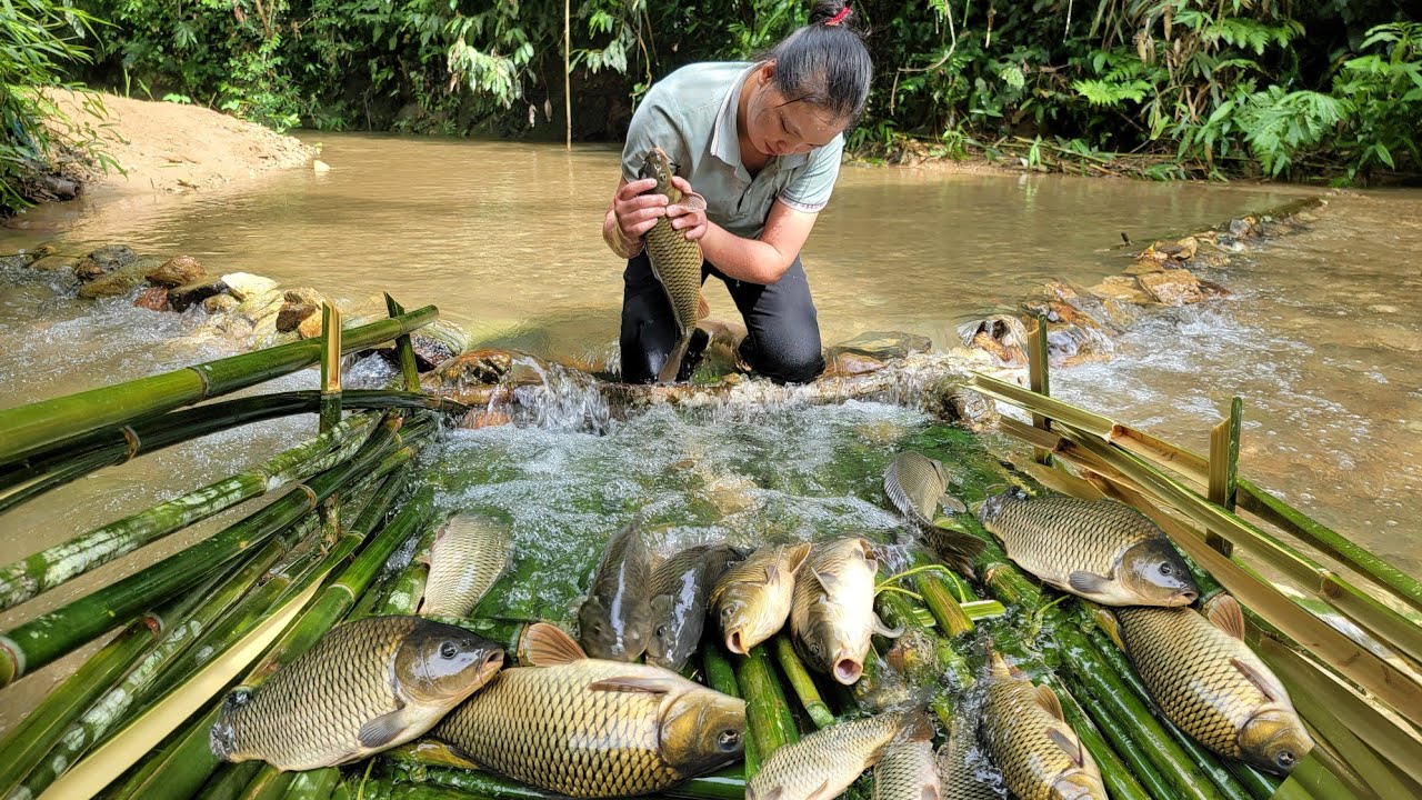 Trapping skills are used to crudely trap stream fish and sell them in the village ls Lý thị toàn