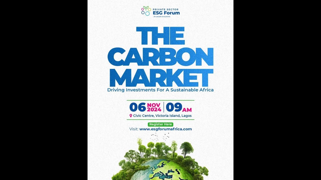 The Carbon Market: Driving Investment for a Sustainable Future