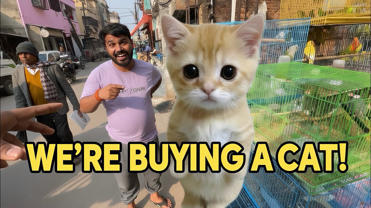 BILLU LENE AAGYE || Kabirgxolgs 