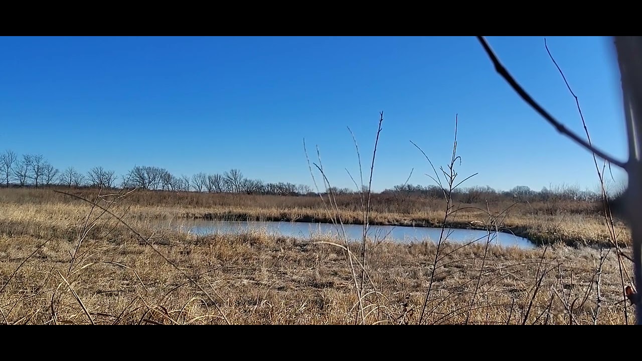 Small pond