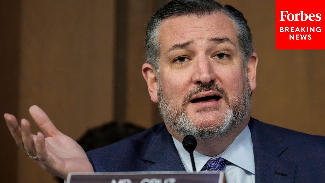 'Let's Be Clear': Ted Cruz Warns Of Pilot Shortages Across The U.S.