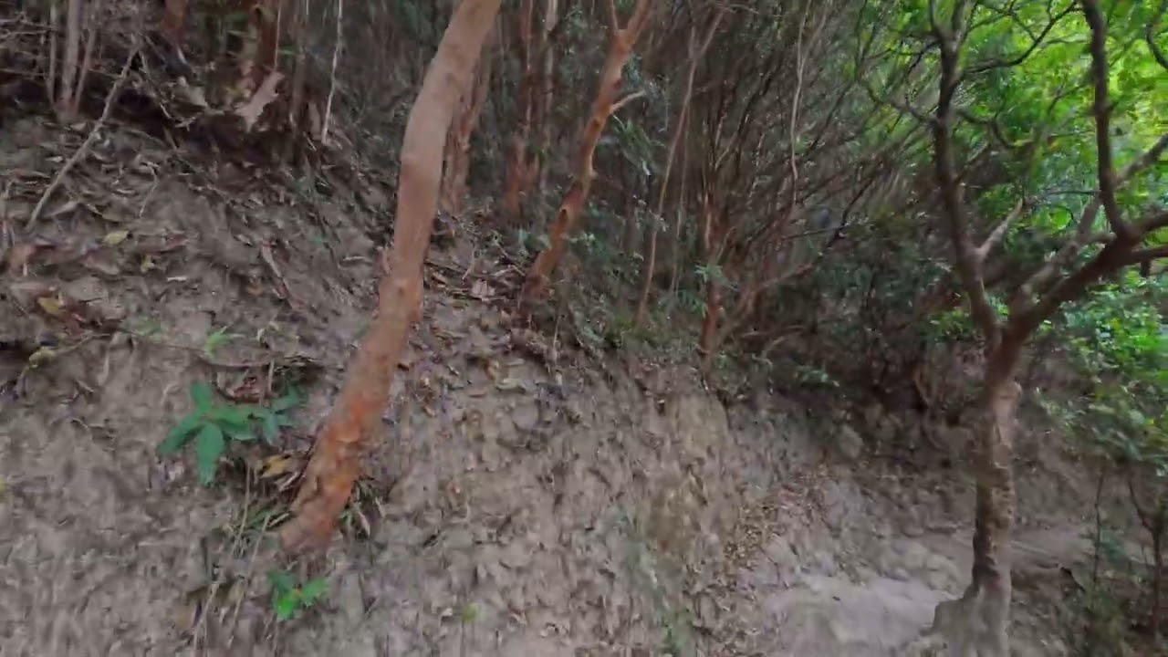 狮子山4