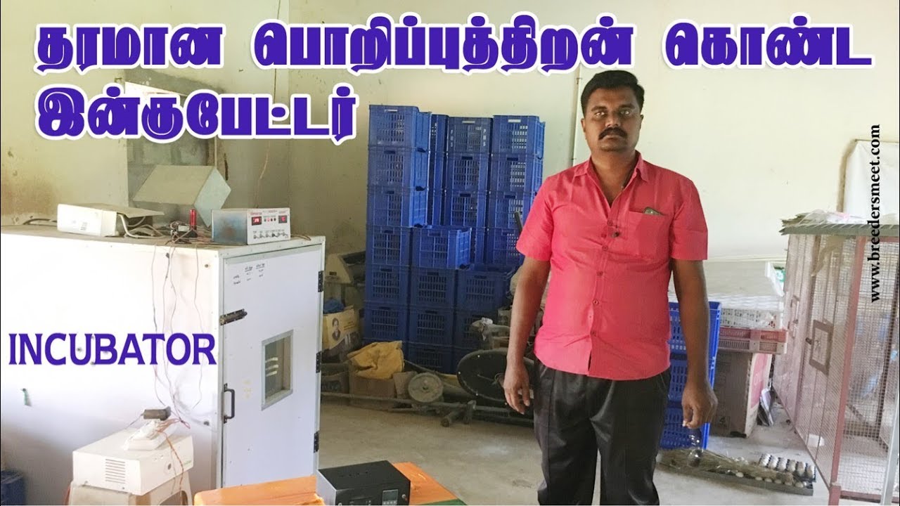 தரமான பொறிப்புத்திறன் கொண்ட இன்குபேட்டர் | Egg incubator |  99944 69398
