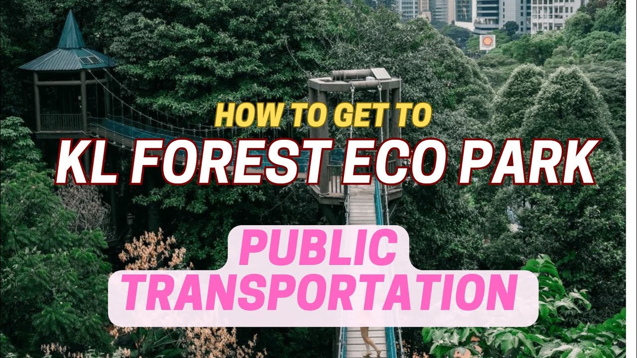 How to go KL Forest Eco Park by Public Bus - KL public transportation