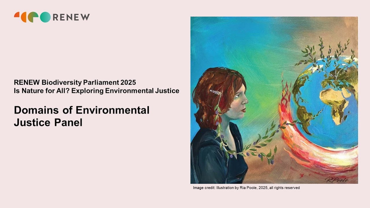 Domains of Environmental Justice