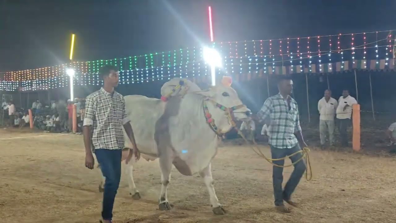 గొట్టిపాటి హనుమంత రావు మెమోరియల్ సబ్ జూనియర్స్ 9వ GLR bulls   గరికపాటి లక్ష్మ య్య   చౌదరి  గారు