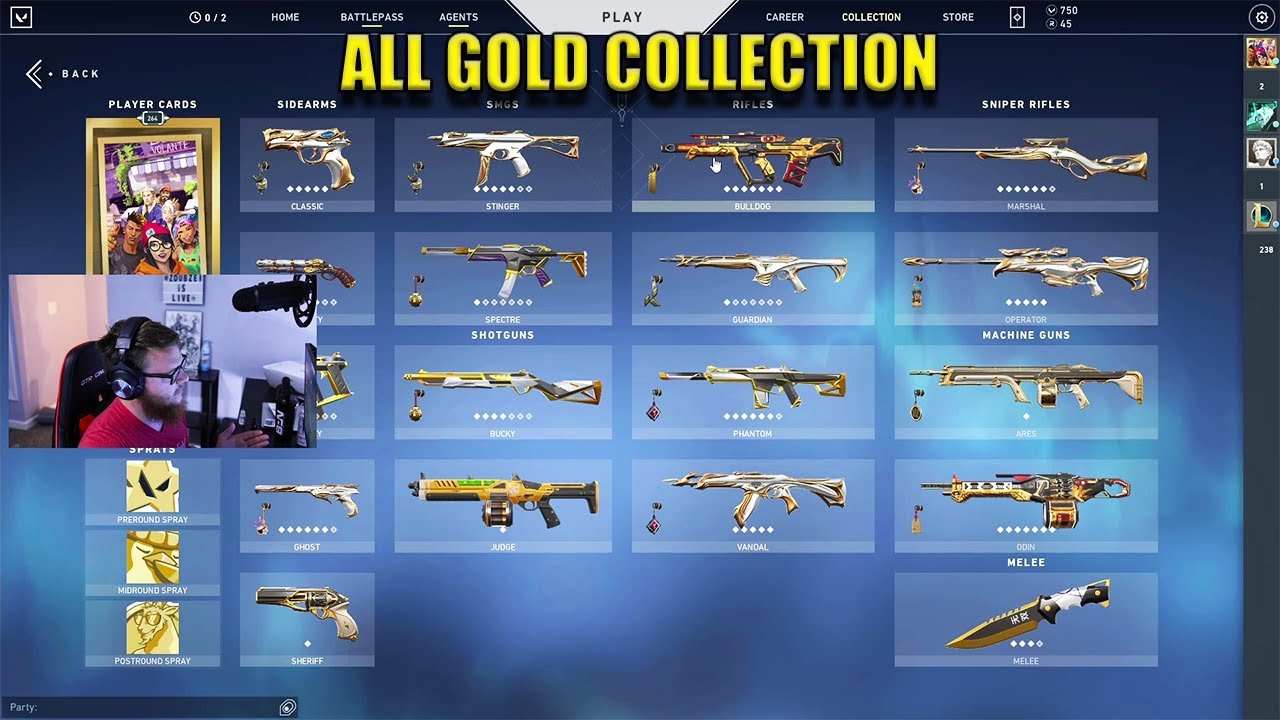 Valorant Skin Collection - The All Gold Collection