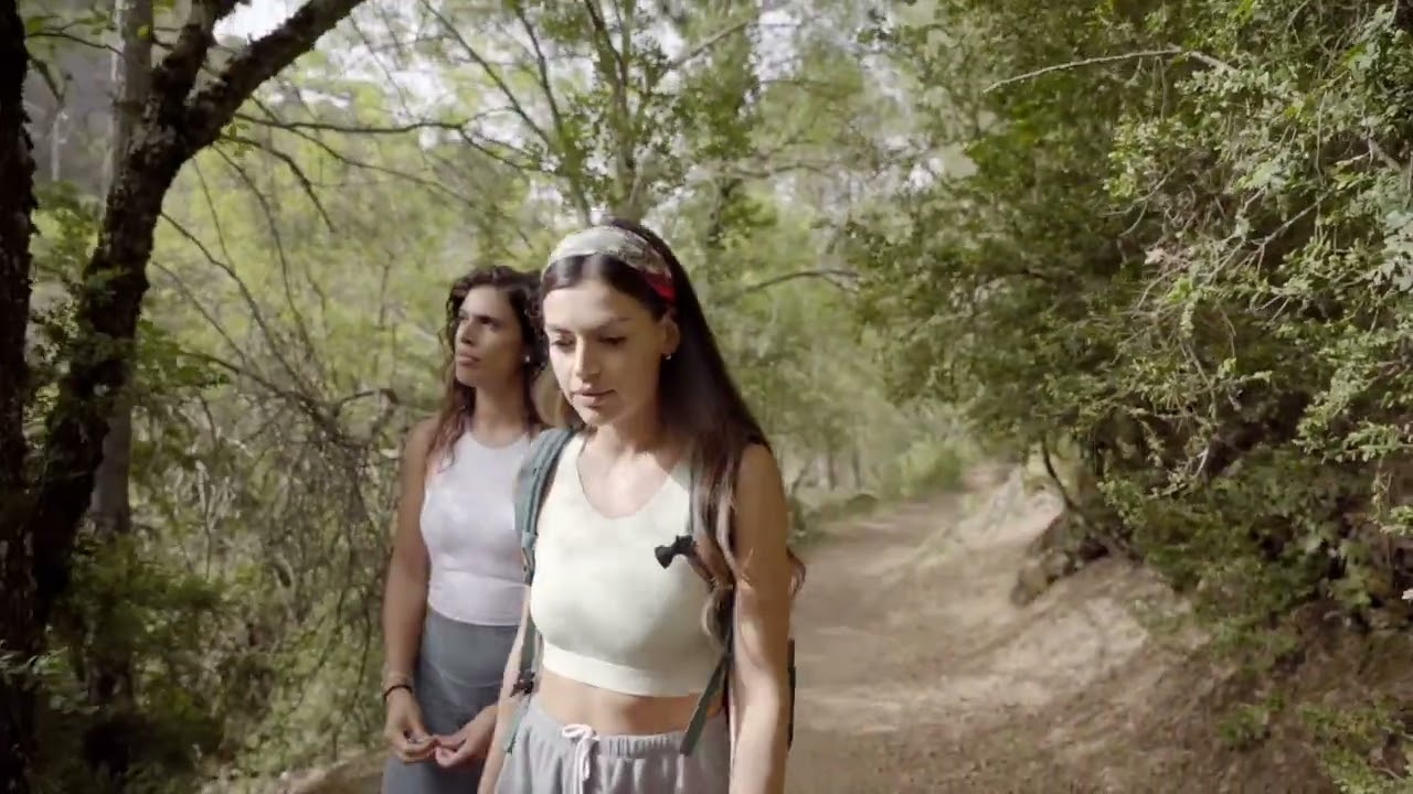 Descubre Jaén: Naturaleza, historia y emoción en cada rincón