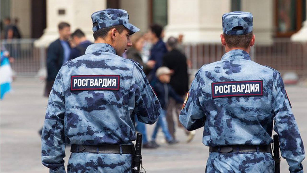Телефончик предъявите: почему Росгвардия может досмотреть мобильный телефон