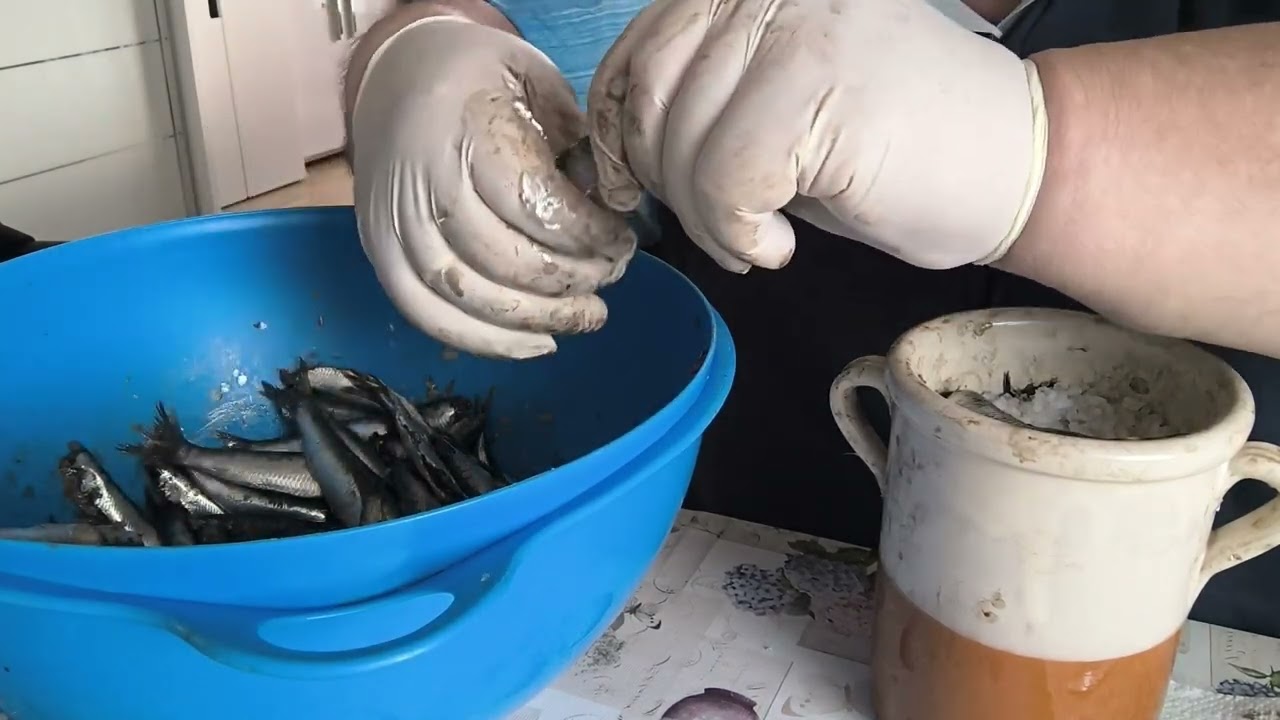 Le sarde salate di Febbraio