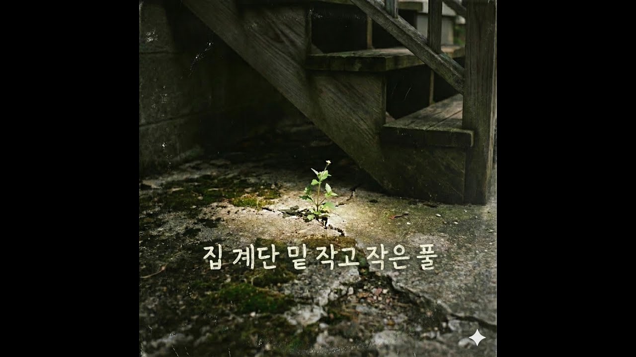 집 계단 밑 작고 작은 풀