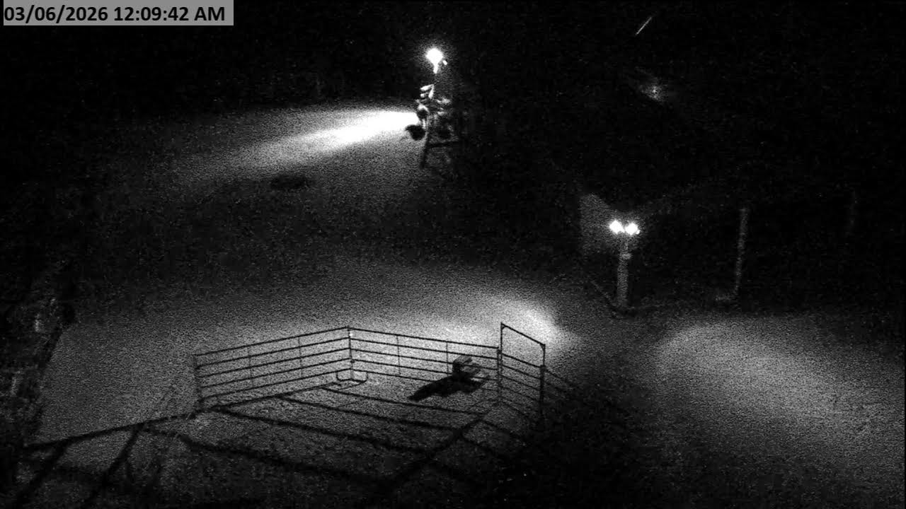 Dunrovin Ranch Cam