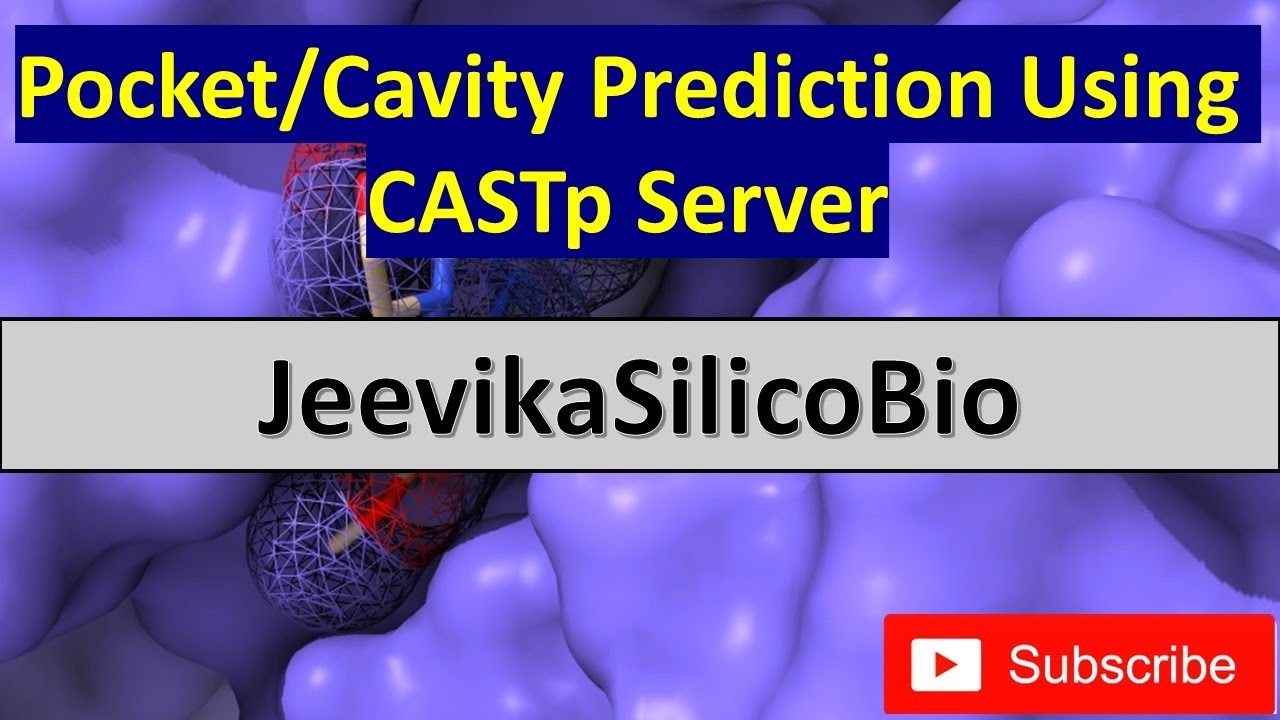 Pocket/Cavity Prediction Using CASTp server