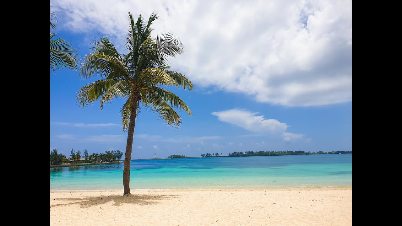 Escape to Paradise: Why the Bahamas Should Be Your Next Trip! 🏝️✨