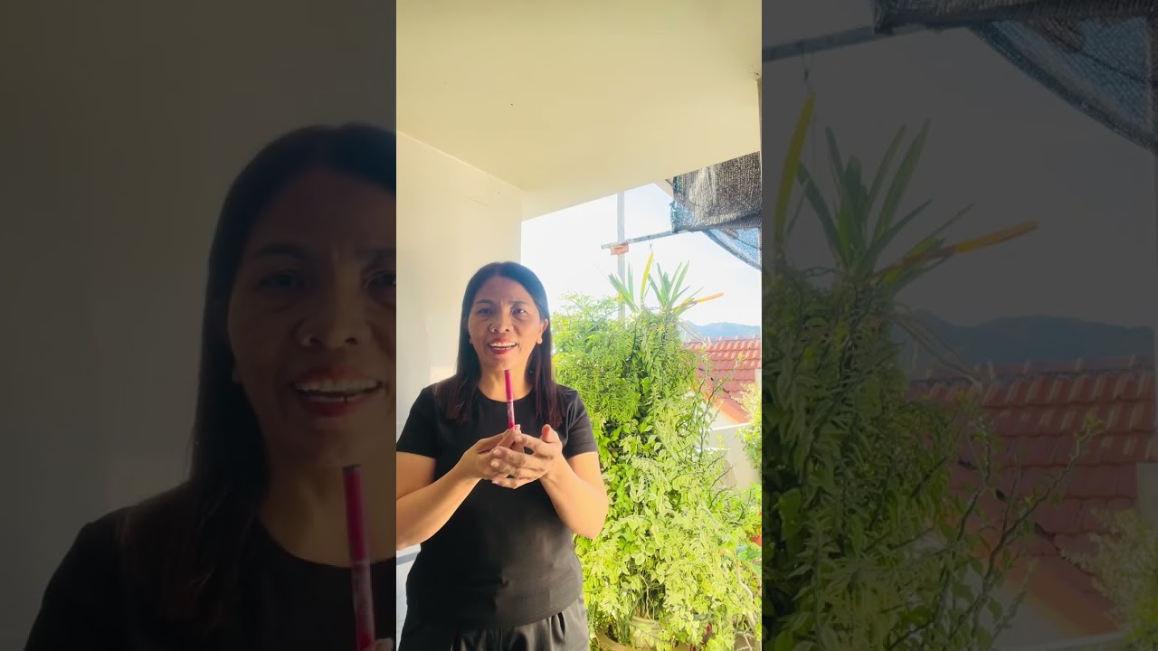 Pen 599. Biết ơn- đón nhận- gieo trồng