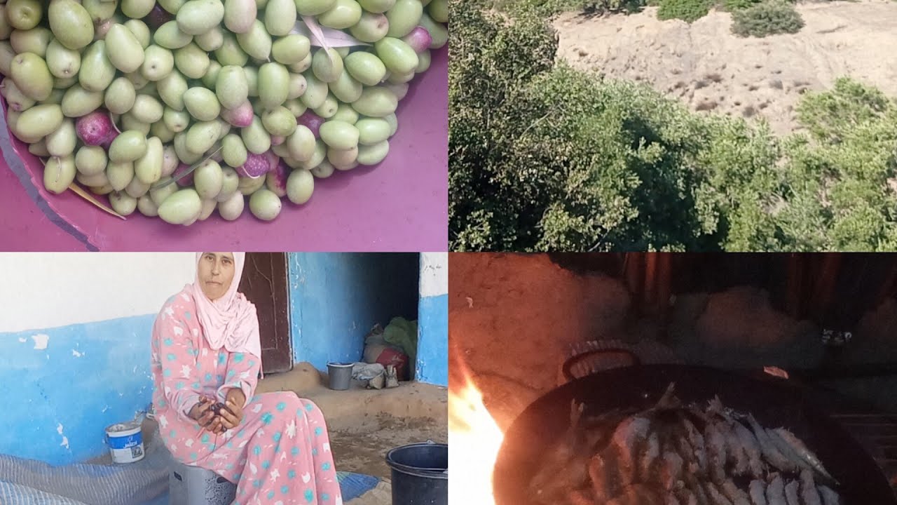 فاطيمه شركه معكم الغريس النعناع