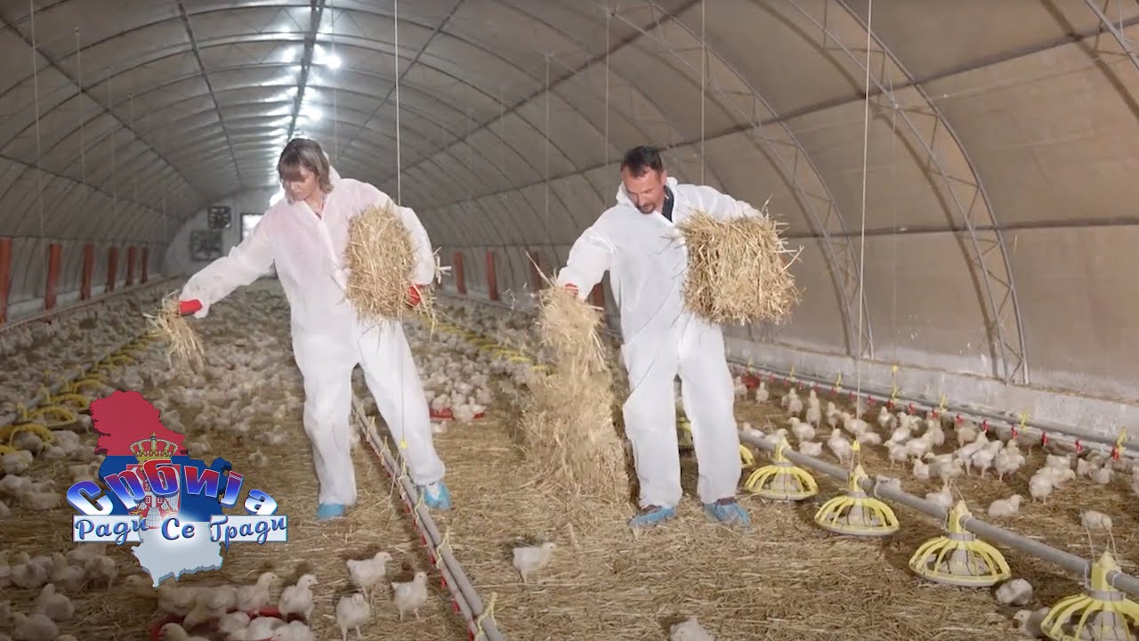 SRBIJA RADI, SRBIJA SE GRADI — FARMA PILICA GIBARAC
