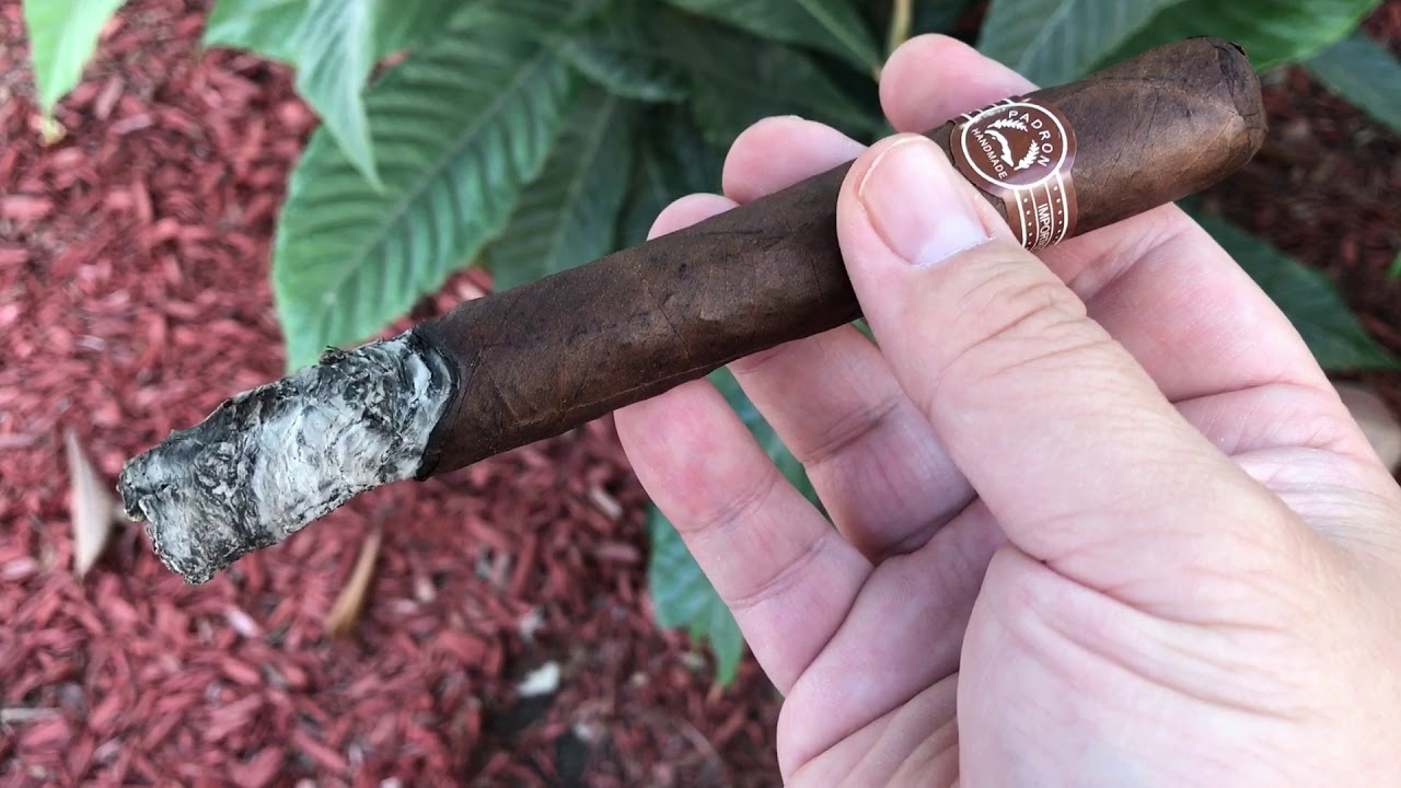 Padron 4000 Maduro Cigar Review