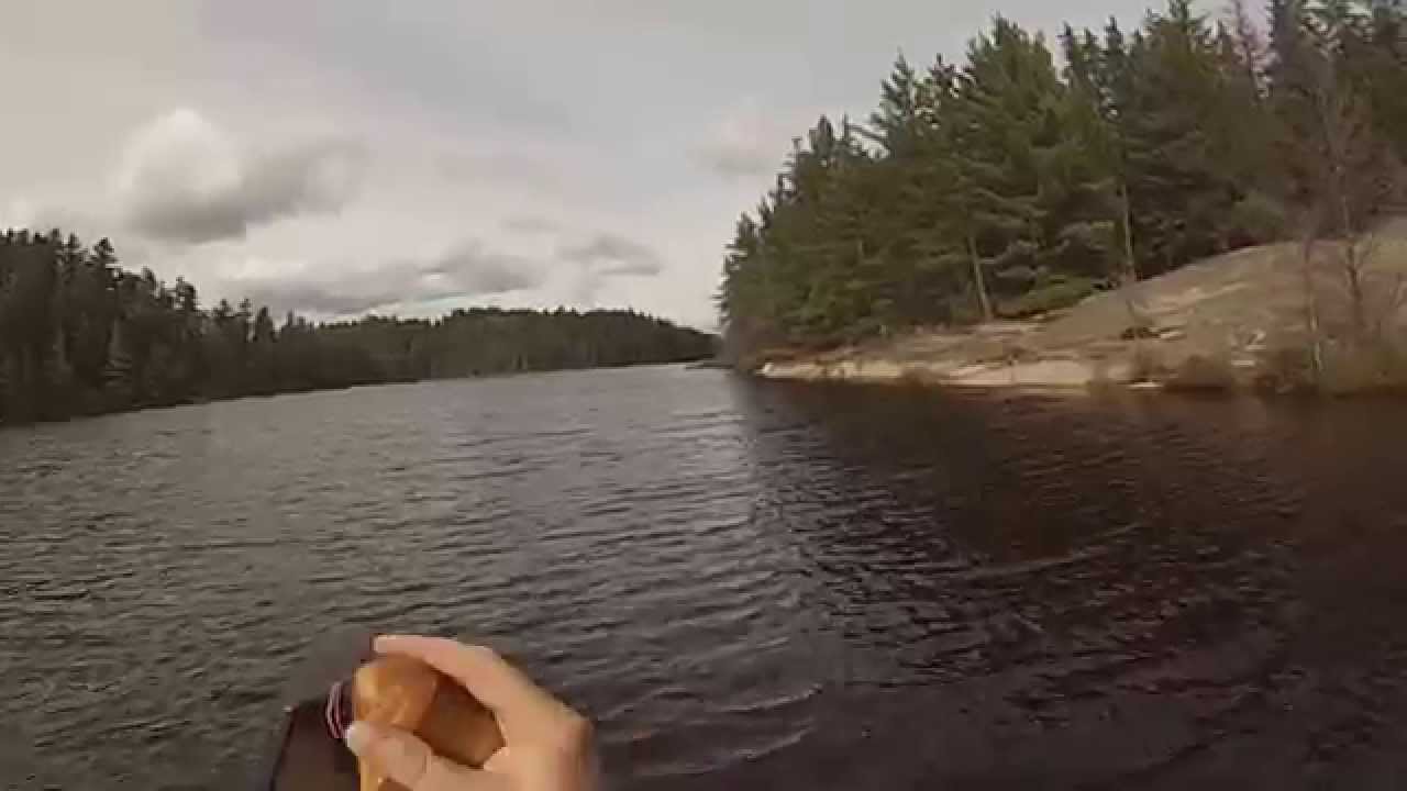 Paddling Angleworm Lake - 3 of 5