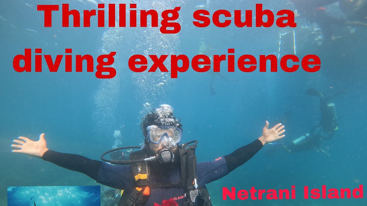 Diving into paradise- Netrani island. Everything you need to know 