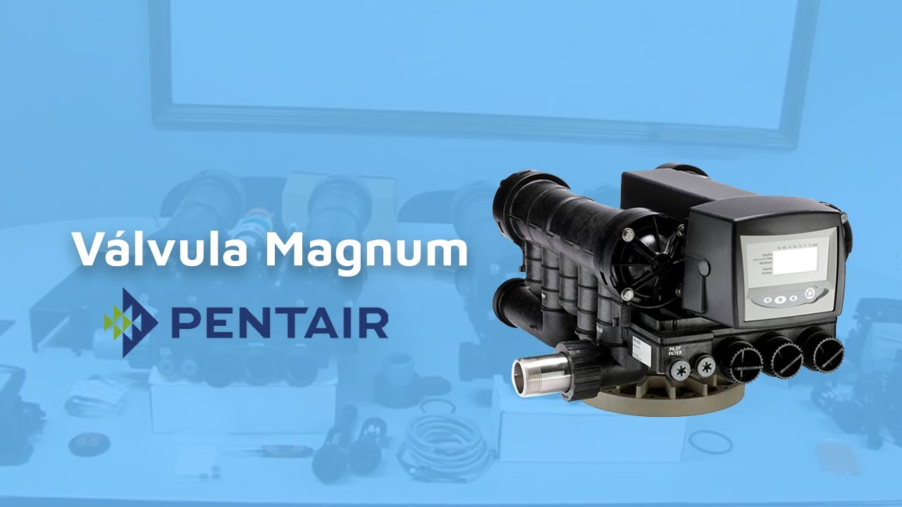 Válvula Magnum de Pentair