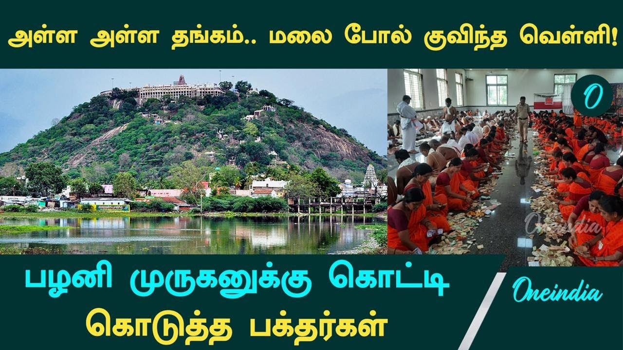 Palani Murugan Temple | பழனி முருகனுக்கு கொட்டி கொடுத்த பக்தர்கள்  | Oneindia Tamil